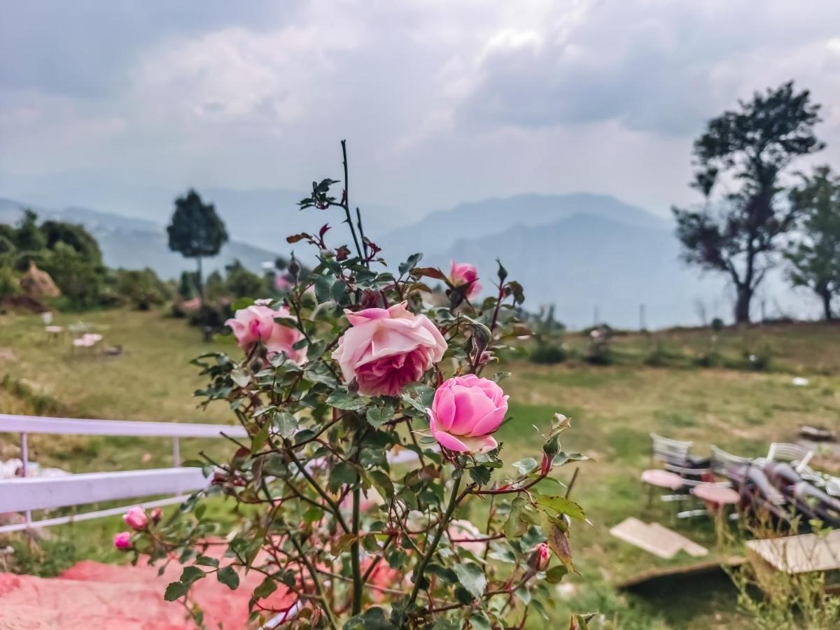 Haut Monde King'S Paradise Resort Kanatal Exteriör bild