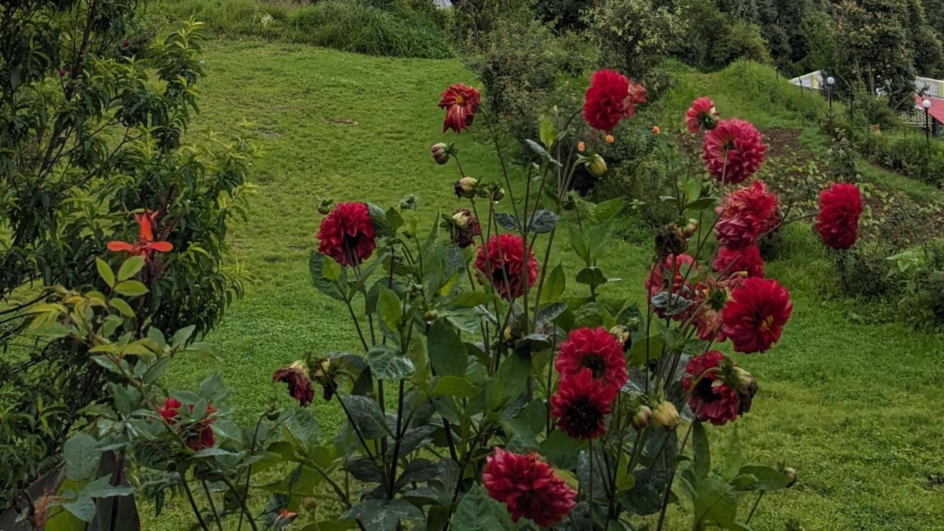 Haut Monde King'S Paradise Resort Kanatal Exteriör bild