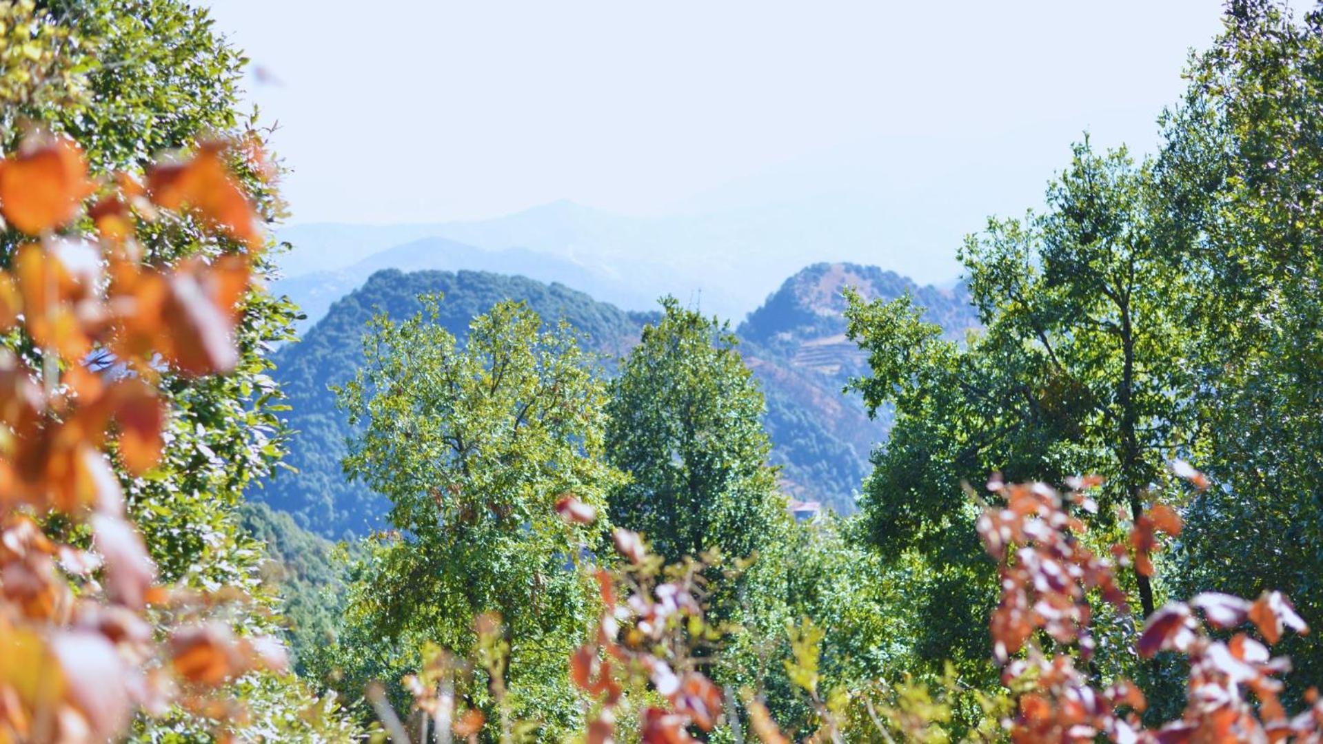 Haut Monde King'S Paradise Resort Kanatal Exteriör bild