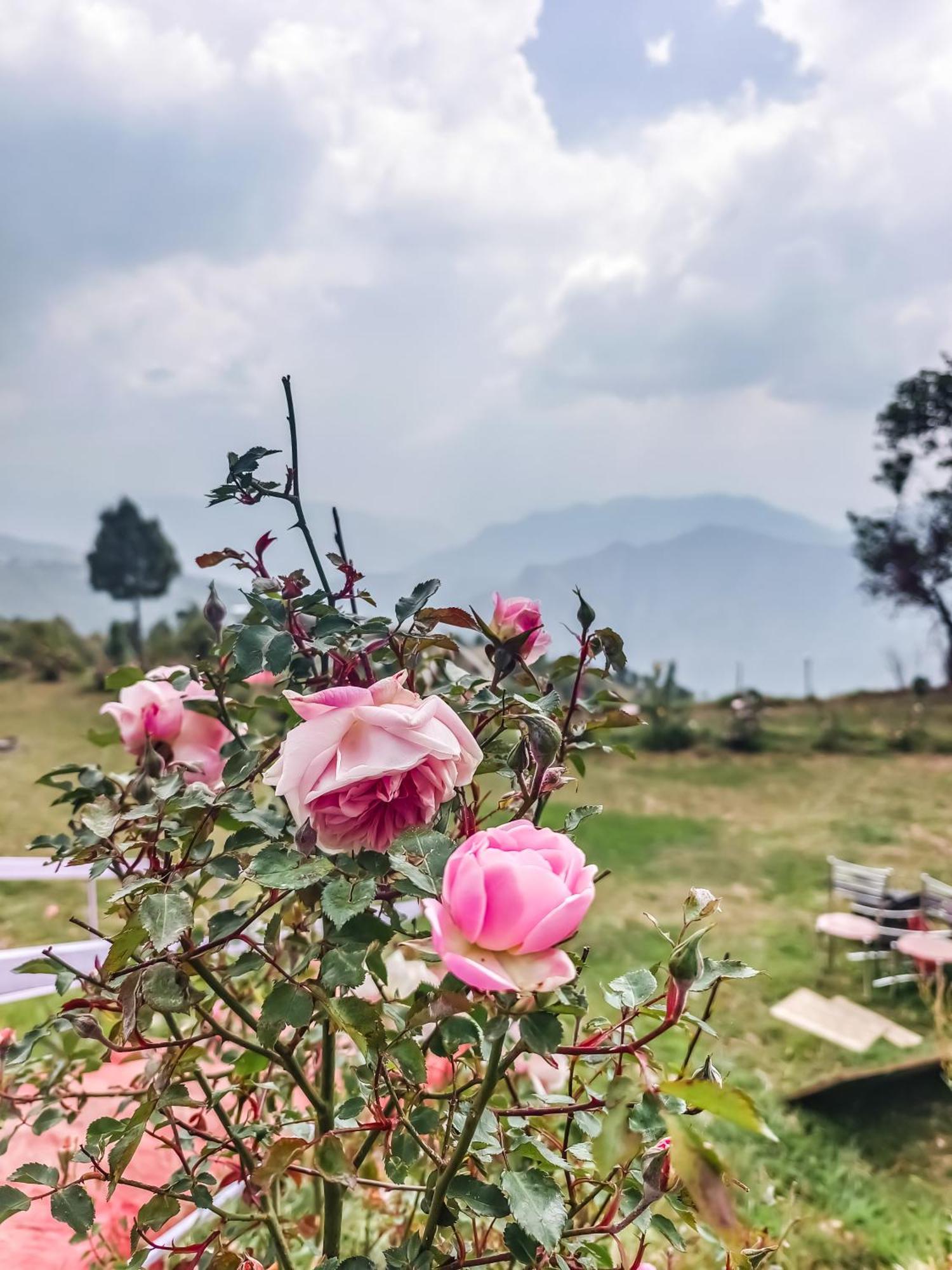 Haut Monde King'S Paradise Resort Kanatal Exteriör bild